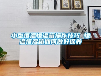 知識百科小型恒溫恒濕箱操作技巧 恒溫恒濕箱如何做好保養(yǎng)