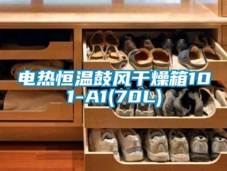 知識百科電熱恒溫鼓風干燥箱101-A1(70L)