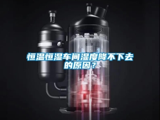 知識百科恒溫恒濕車間濕度降不下去的原因？