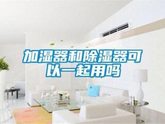 行業(yè)新聞加濕器和除濕器可以一起用嗎