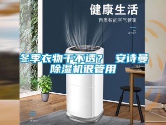企業(yè)新聞冬季衣物干不透？ 安詩曼除濕機(jī)很管用