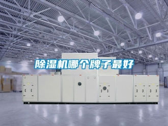 行業新聞除濕機哪個牌子最好