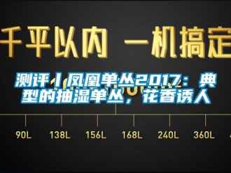 企業新聞測評丨鳳凰單叢2017：典型的抽濕單叢，花香誘人