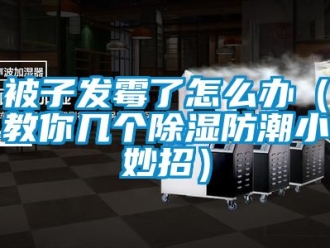 企業新聞被子發霉了怎么辦（教你幾個除濕防潮小妙招）