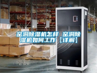 行業(yè)新聞窯洞除濕機(jī)怎樣 窯洞除濕機(jī)如何工作【詳解】