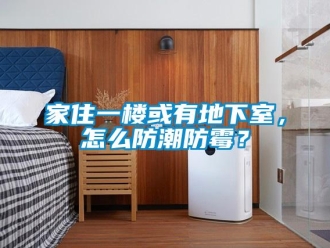 企業新聞家住一樓或有地下室，怎么防潮防霉？