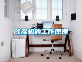 企業(yè)新聞除濕機的工作原理