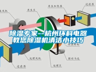 企業(yè)新聞除濕專家--杭州環(huán)科電器教您除濕機(jī)清潔小技巧