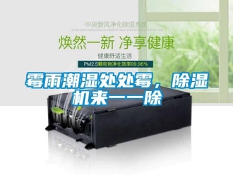 行業(yè)新聞霉雨潮濕處處霉，除濕機來一一除