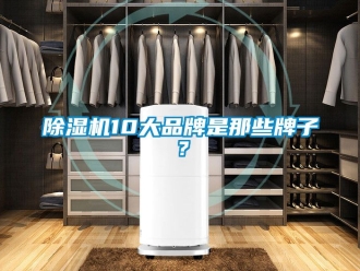 企業(yè)新聞除濕機(jī)10大品牌是那些牌子？