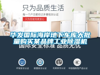 行業新聞華發國際海岸地下車庫大批量購買某品牌工業除濕機