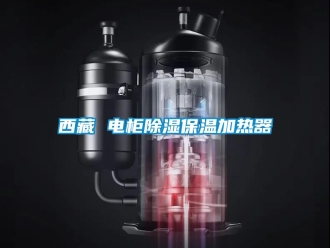 行業新聞西藏 電柜除濕保溫加熱器