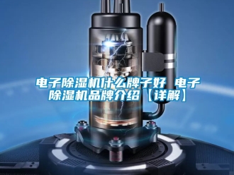 企業(yè)新聞電子除濕機(jī)什么牌子好 電子除濕機(jī)品牌介紹【詳解】