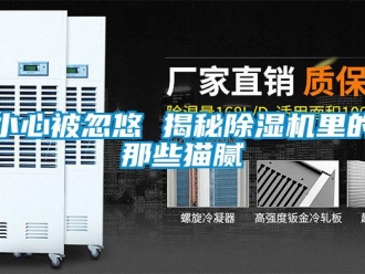 知識百科小心被忽悠 揭秘除濕機里的那些貓膩