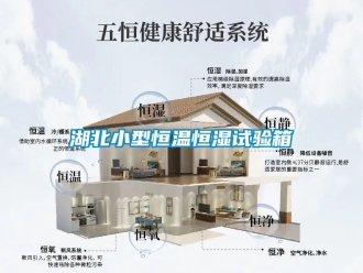 知識百科湖北小型恒溫恒濕試驗箱