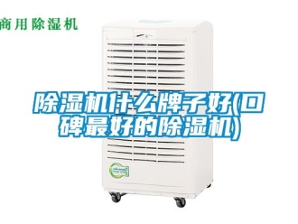 行業新聞除濕機什么牌子好(口碑最好的除濕機)