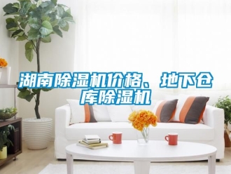 企業(yè)新聞湖南除濕機(jī)價(jià)格、地下倉庫除濕機(jī)
