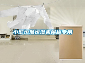 知識百科小型恒溫恒濕機(jī)展柜專用