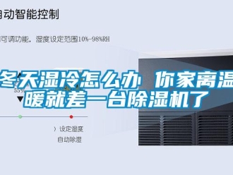 行業(yè)新聞冬天濕冷怎么辦 你家離溫暖就差一臺除濕機了