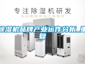企業(yè)新聞除濕機(jī)品牌產(chǎn)業(yè)運(yùn)作分析_重復(fù)