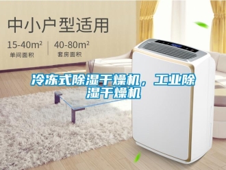 行業(yè)新聞冷凍式除濕干燥機(jī)，工業(yè)除濕干燥機(jī)
