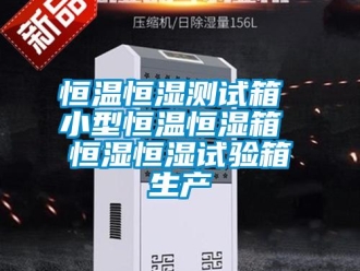 知識百科恒溫恒濕測試箱 小型恒溫恒濕箱 恒濕恒濕試驗箱生產(chǎn)