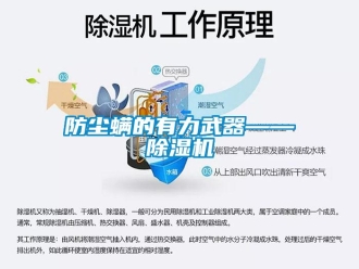 企業新聞防塵螨的有力武器——除濕機