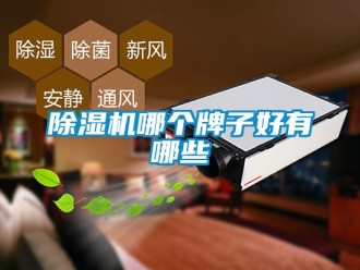 行業新聞除濕機哪個牌子好有哪些