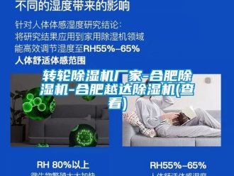企業(yè)新聞轉(zhuǎn)輪除濕機廠家-合肥除濕機-合肥越達除濕機(查看)