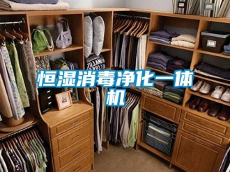 知識百科恒濕消毒凈化一體機
