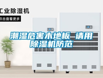 企業新聞潮濕危害木地板 請用除濕機防范