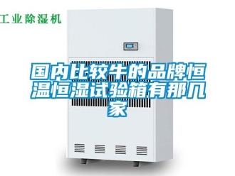 知識(shí)百科國(guó)內(nèi)比較牛的品牌恒溫恒濕試驗(yàn)箱有那幾家