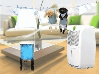 知識百科雙十一除濕機值不值得購買？