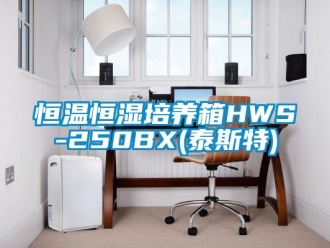 知識百科恒溫恒濕培養箱HWS-250BX(泰斯特)