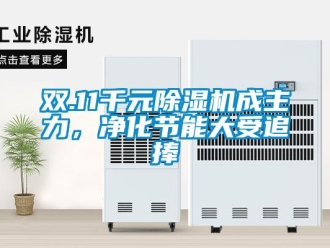 行業(yè)新聞雙.11千元除濕機(jī)成主力，凈化節(jié)能大受追捧