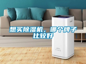 行業新聞想買除濕機，哪個牌子比較好