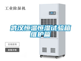 知識(shí)百科武漢恒溫恒濕試驗(yàn)箱維護(hù)篇