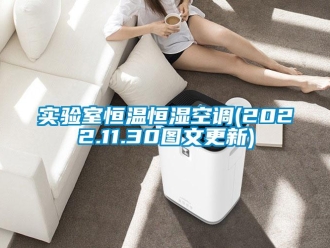 知識百科實驗室恒溫恒濕空調(2022.11.30圖文更新)