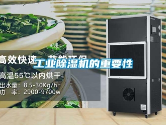 企業新聞工業除濕機的重要性