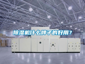 行業新聞除濕機什么牌子的好用？