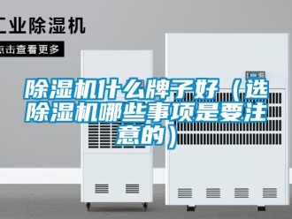 行業新聞除濕機什么牌子好（選除濕機哪些事項是要注意的）