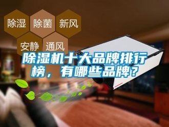 企業新聞除濕機十大品牌排行榜，有哪些品牌？