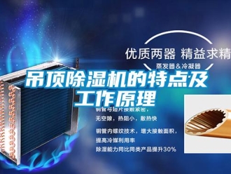 行業(yè)新聞吊頂除濕機(jī)的特點(diǎn)及工作原理