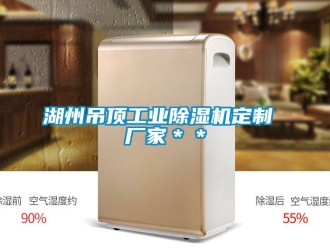 企業(yè)新聞湖州吊頂工業(yè)除濕機(jī)定制 廠家＊＊