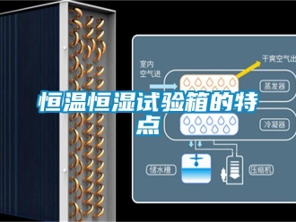 知識百科恒溫恒濕試驗箱的特點