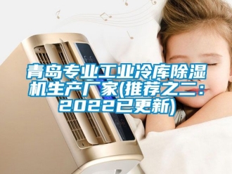 企業(yè)新聞青島專業(yè)工業(yè)冷庫(kù)除濕機(jī)生產(chǎn)廠家(推薦之二：2022已更新)