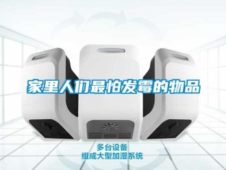 行業(yè)新聞家里人們最怕發(fā)霉的物品