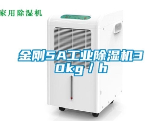 行業(yè)新聞金剛5A工業(yè)除濕機30kg／h