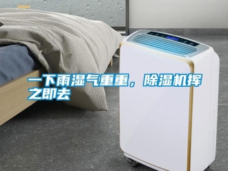 知識(shí)百科一下雨濕氣重重，除濕機(jī)揮之即去