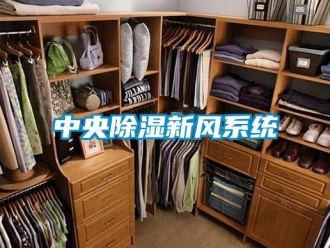 行業新聞中央除濕新風系統